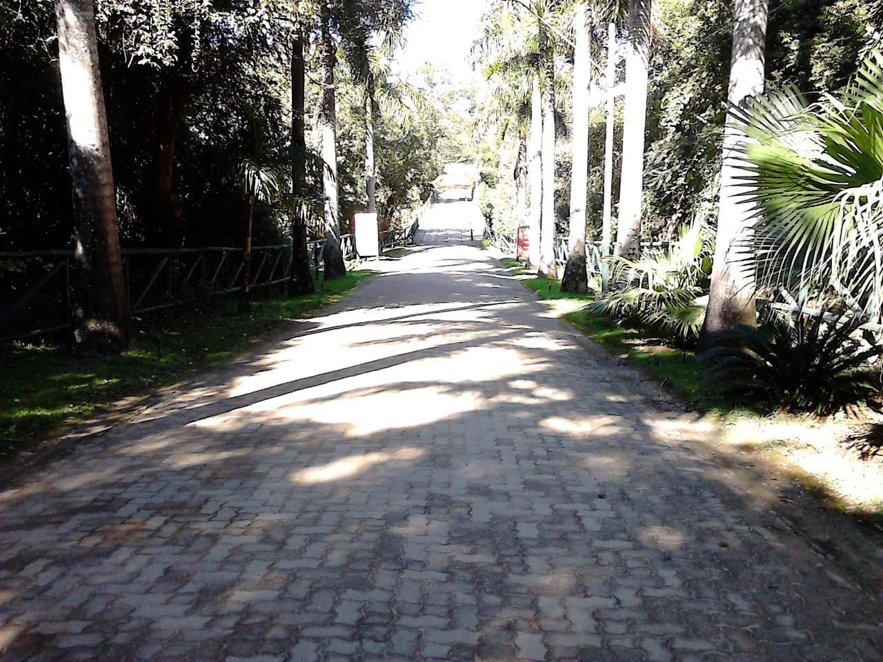 Terreno, 3 hectares - Foto 6