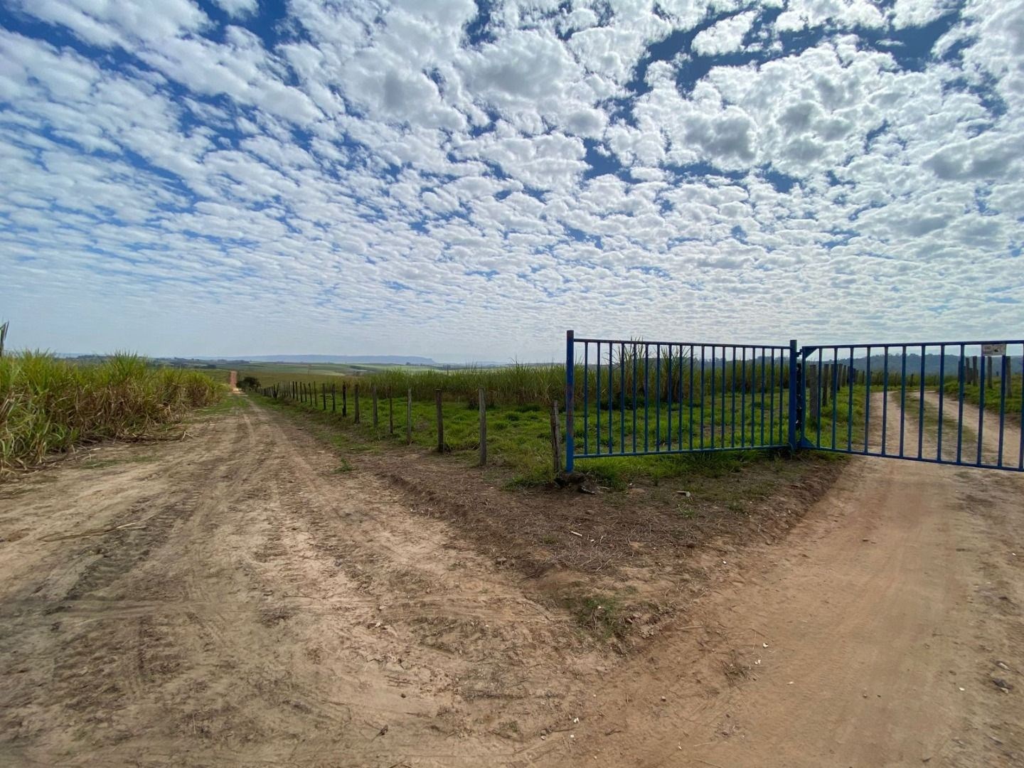 Fazenda, 404 hectares - Foto 27