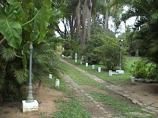 Loteamento e Condomínio, 1 hectares - Foto 31