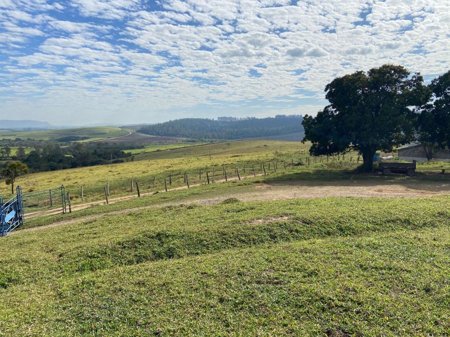 Fazenda, 404 hectares - Foto 12