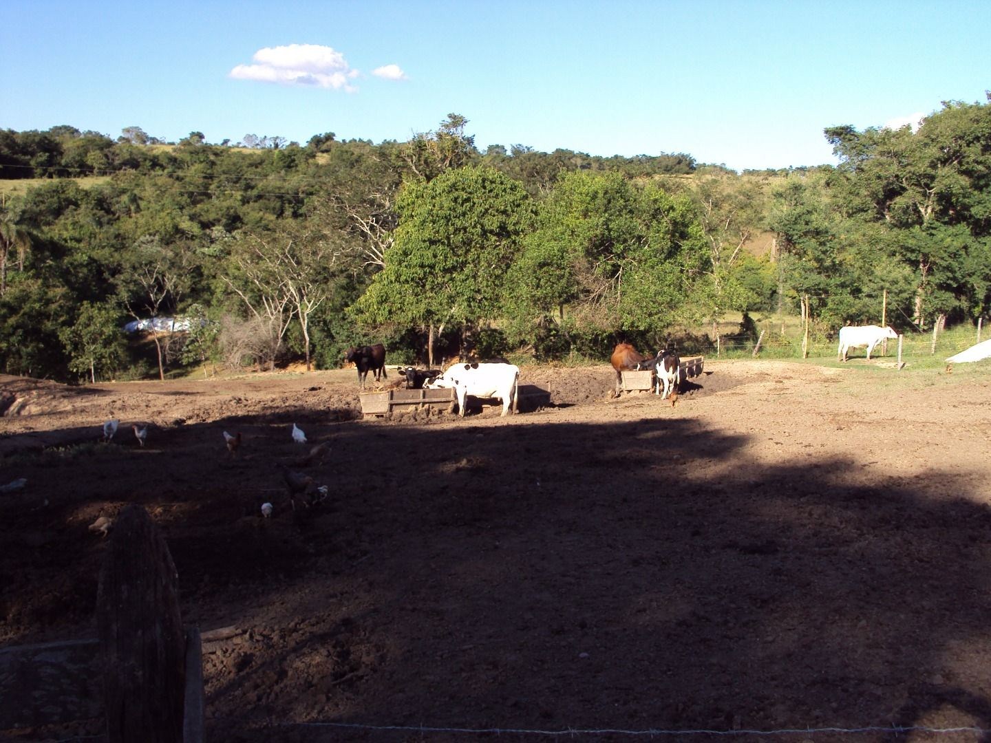Fazenda, 28 hectares - Foto 21