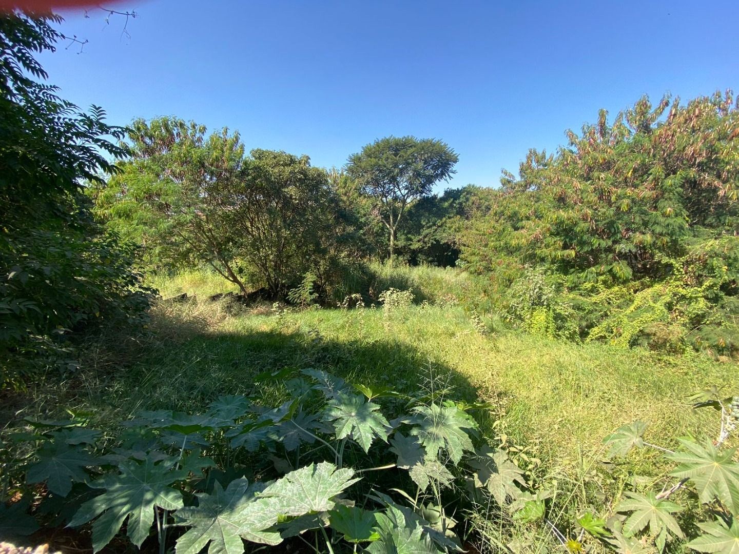 Terreno, 2337 m² - Foto 6