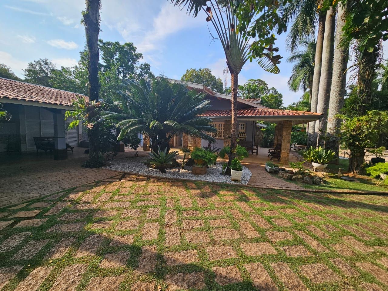 Sítio, 4 quartos, 5000 m² - Foto 1