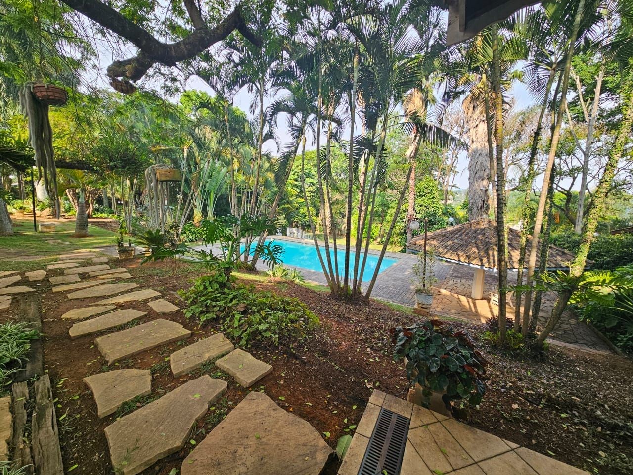 Sítio, 4 quartos, 5000 m² - Foto 12