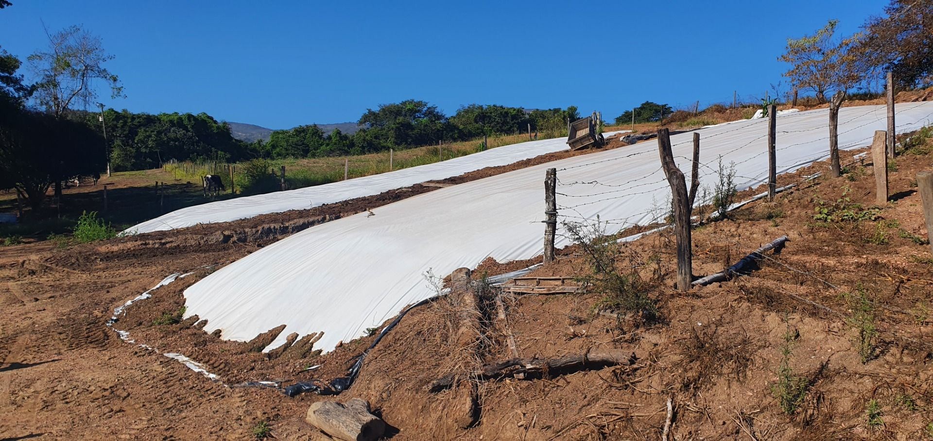 Fazenda, 28 hectares - Foto 73