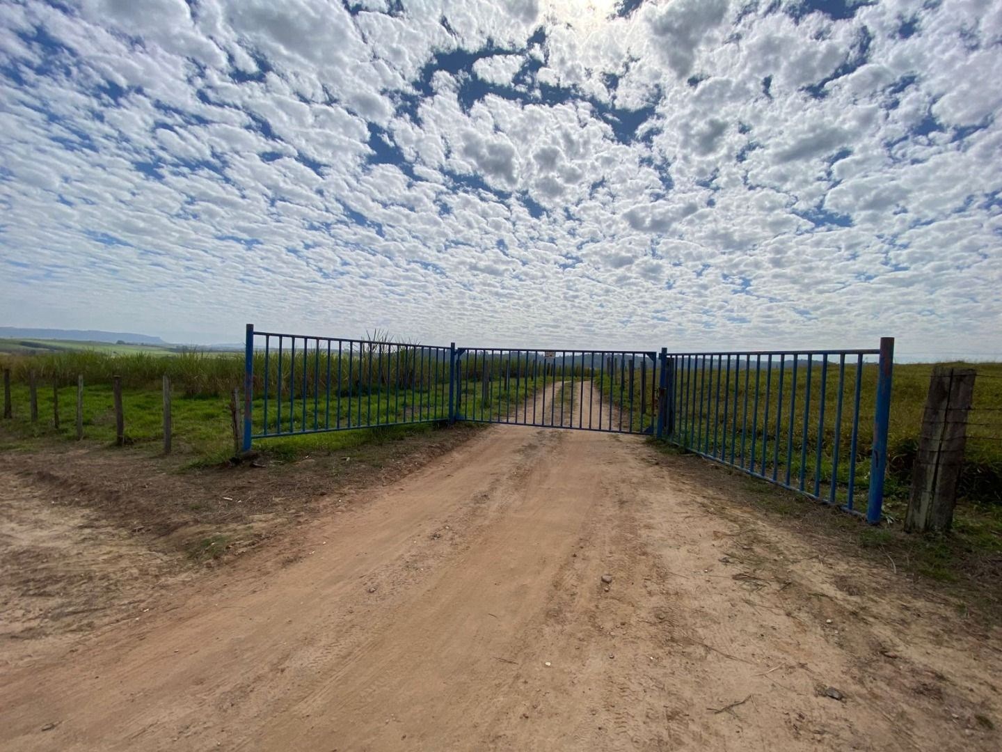 Fazenda, 404 hectares - Foto 29