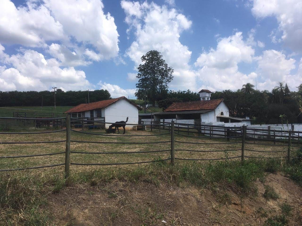 Fazenda, 7 hectares - Foto 25