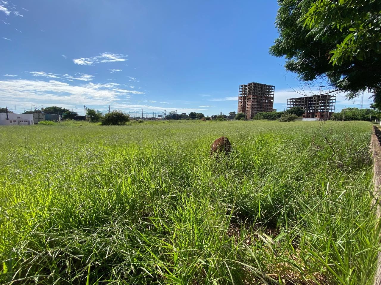 Terreno, 2415 m² - Foto 5