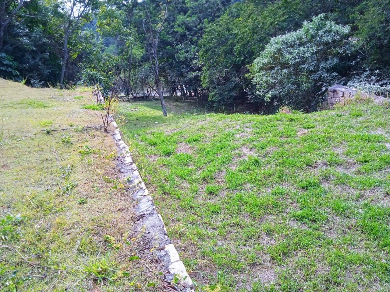 Terreno, 1736 m² - Foto 3