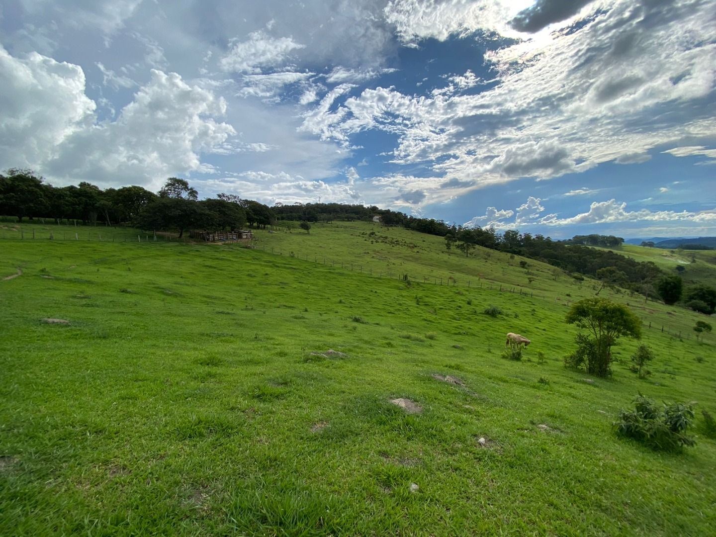 Fazenda, 3 hectares - Foto 6