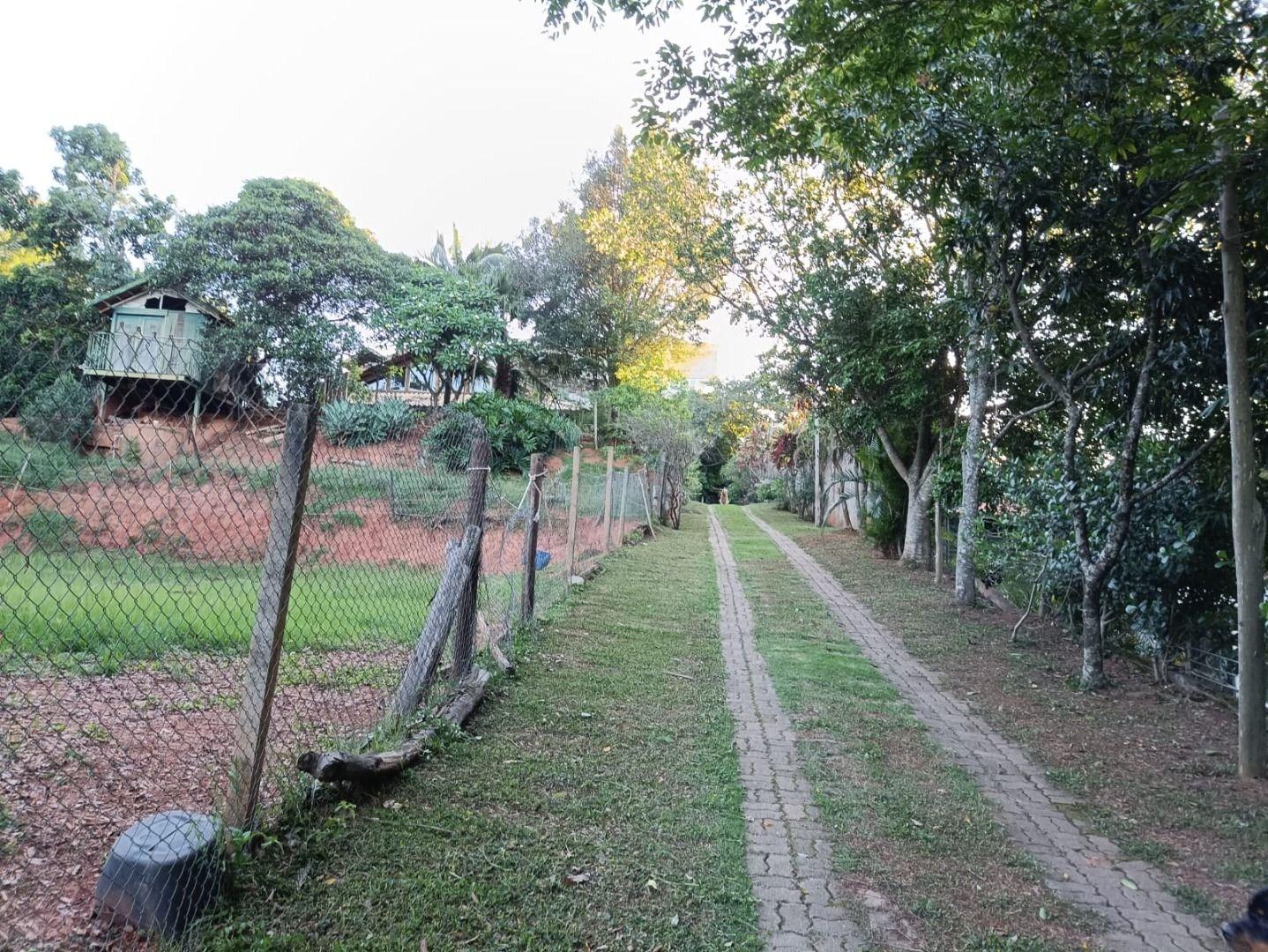 Sítio, 2 quartos, 5000 m² - Foto 21