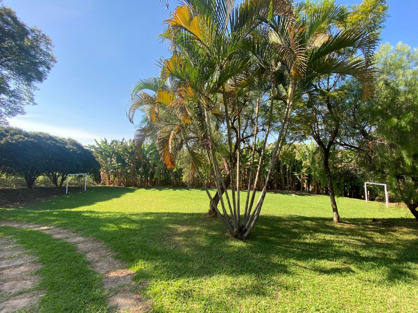 Sítio, 4 quartos, 10000 m² - Foto 33
