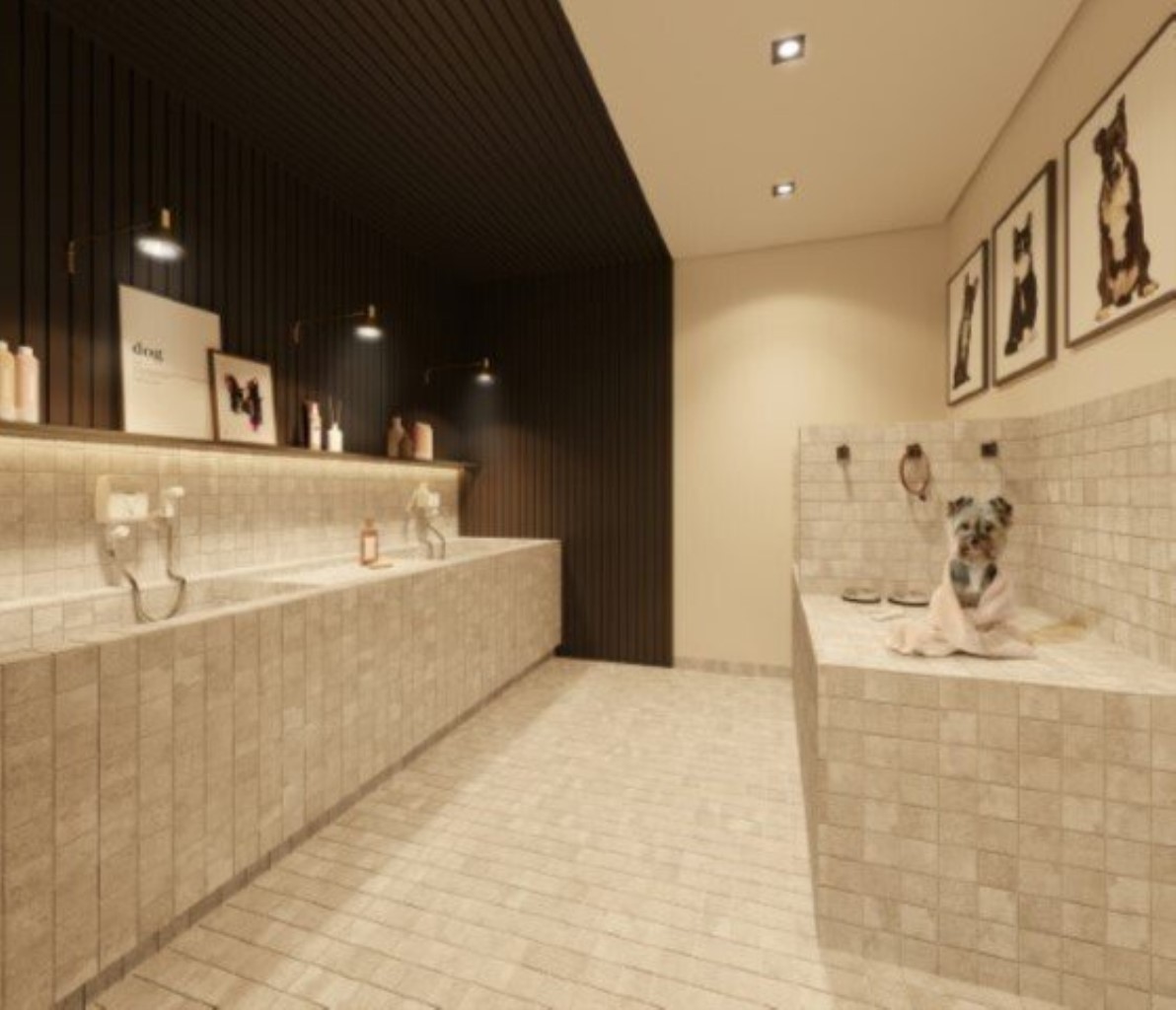 Apartamento, 4 quartos, 245 m² - Foto 12