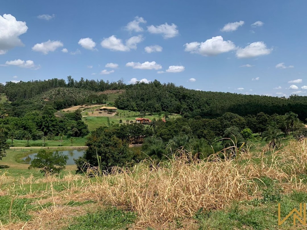 Terreno, 2 hectares - Foto 4