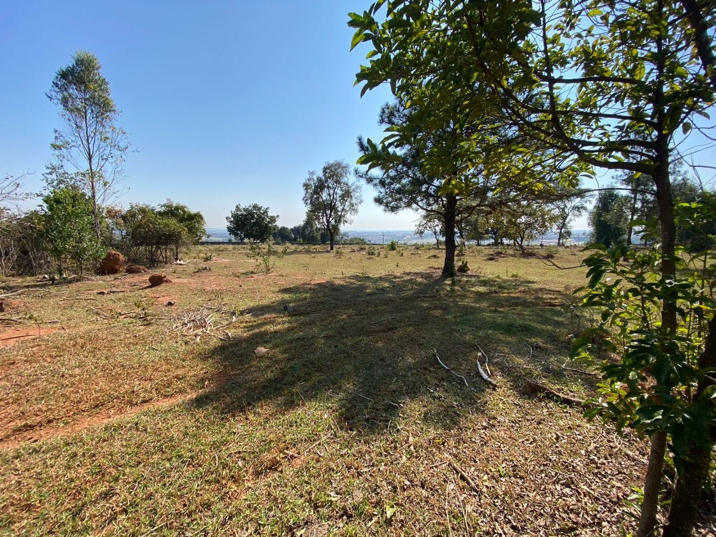 Terreno, 15 hectares - Foto 3