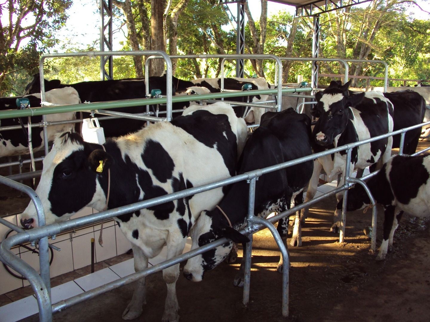 Fazenda, 28 hectares - Foto 1