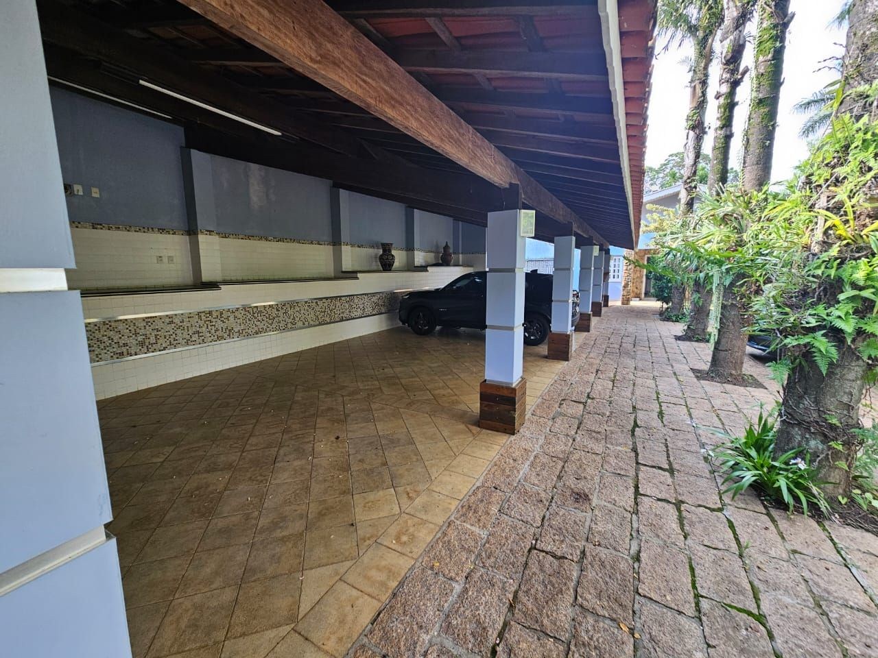 Sítio, 4 quartos, 5000 m² - Foto 22