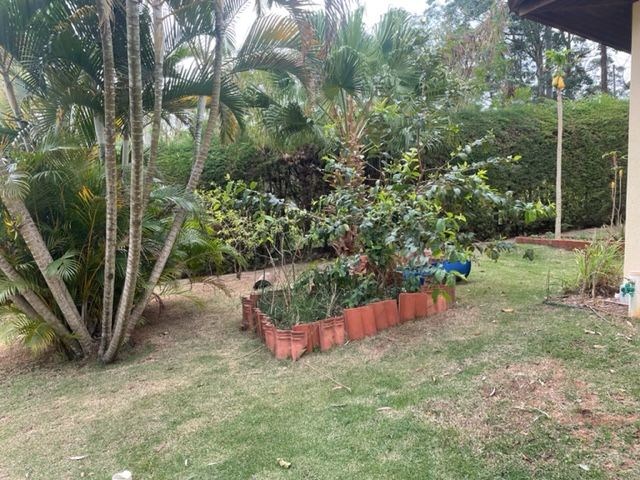 Casa, 4 quartos - Foto 55