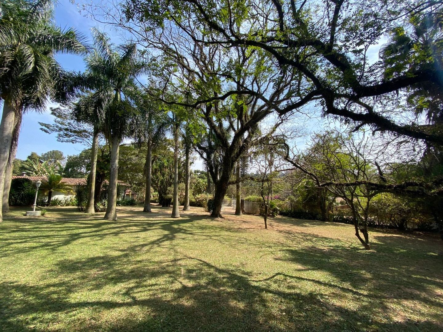 Sítio, 4 quartos, 1 hectares - Foto 11
