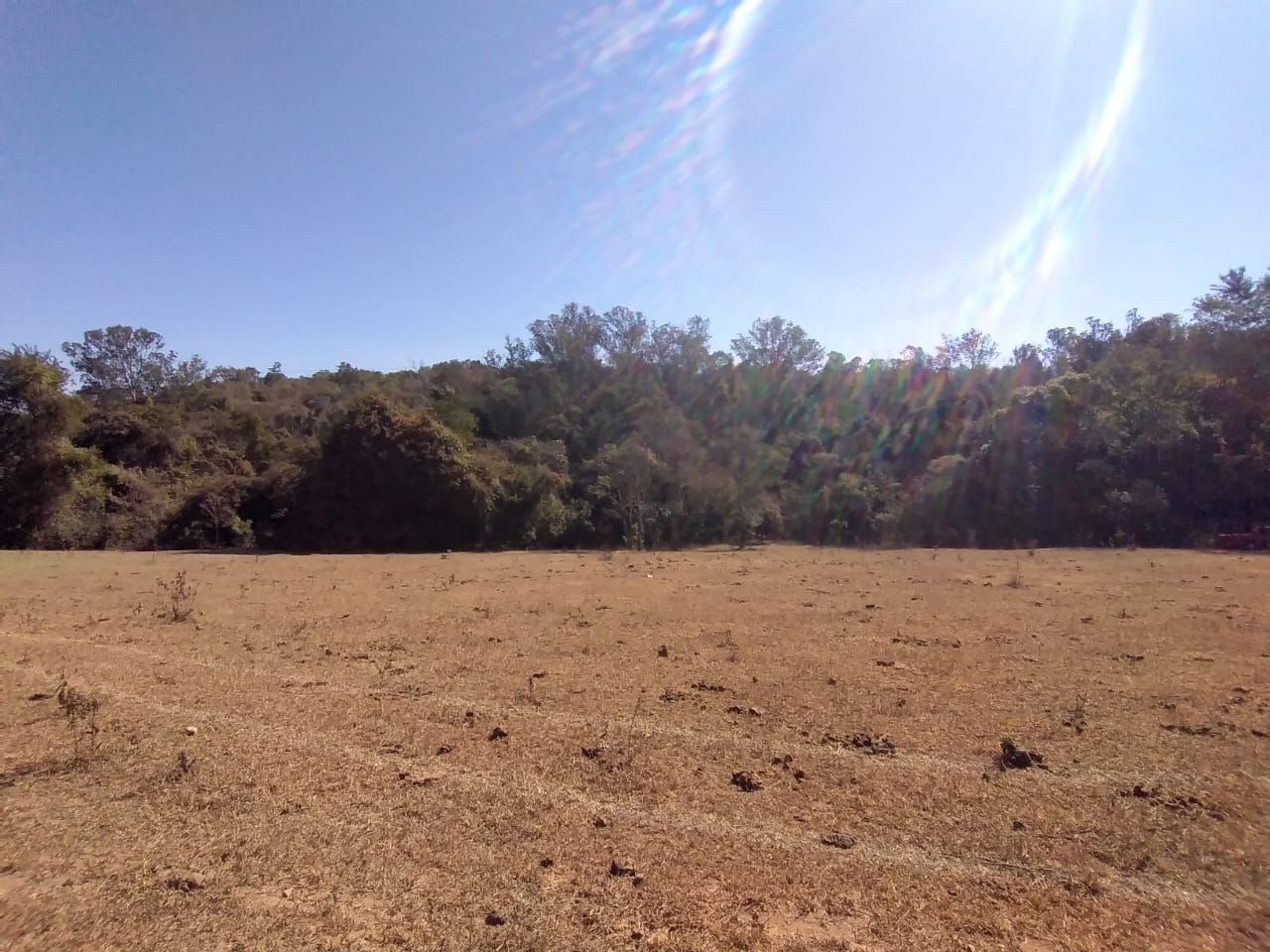 Terreno, 2 hectares - Foto 9
