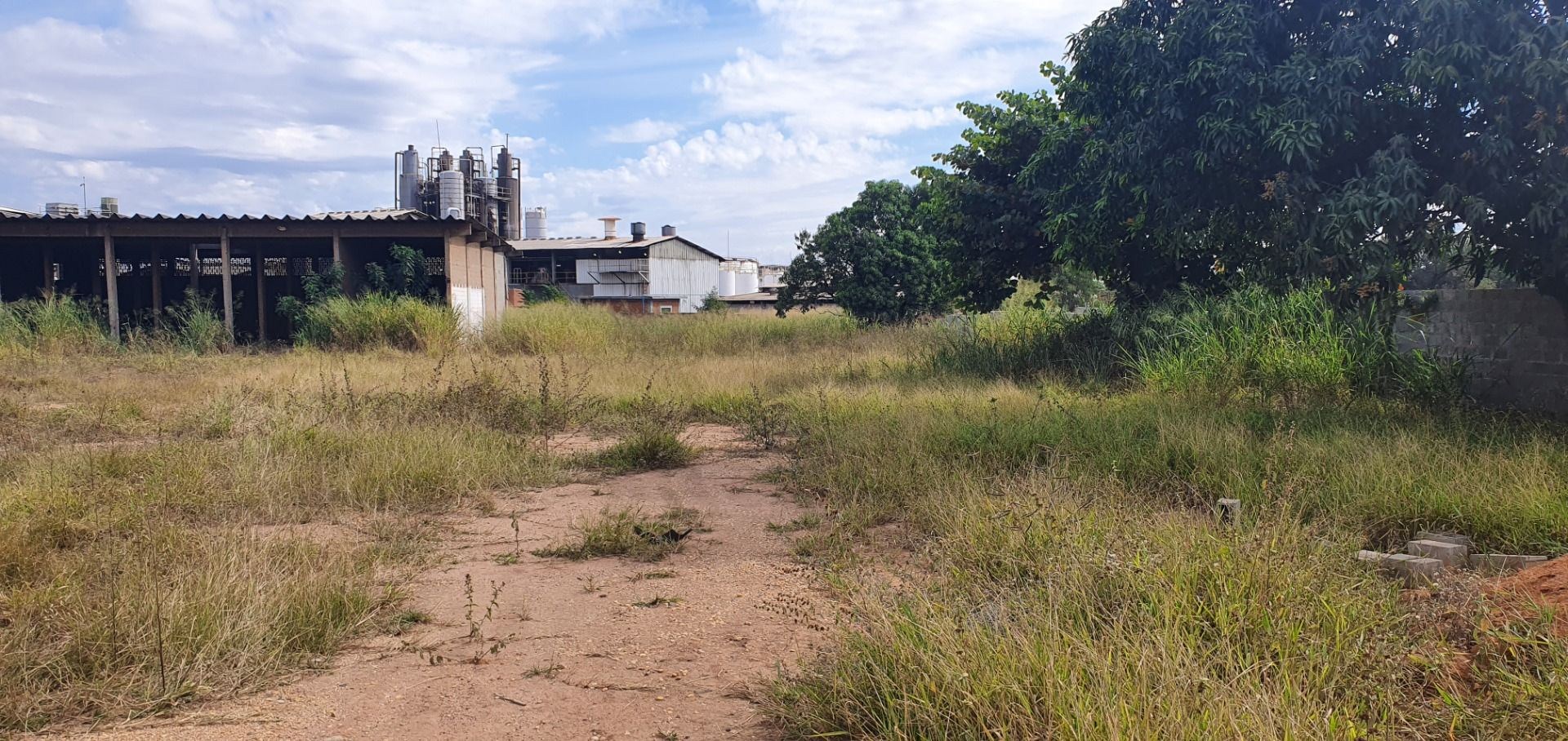 Depósito-Galpão - Foto 1