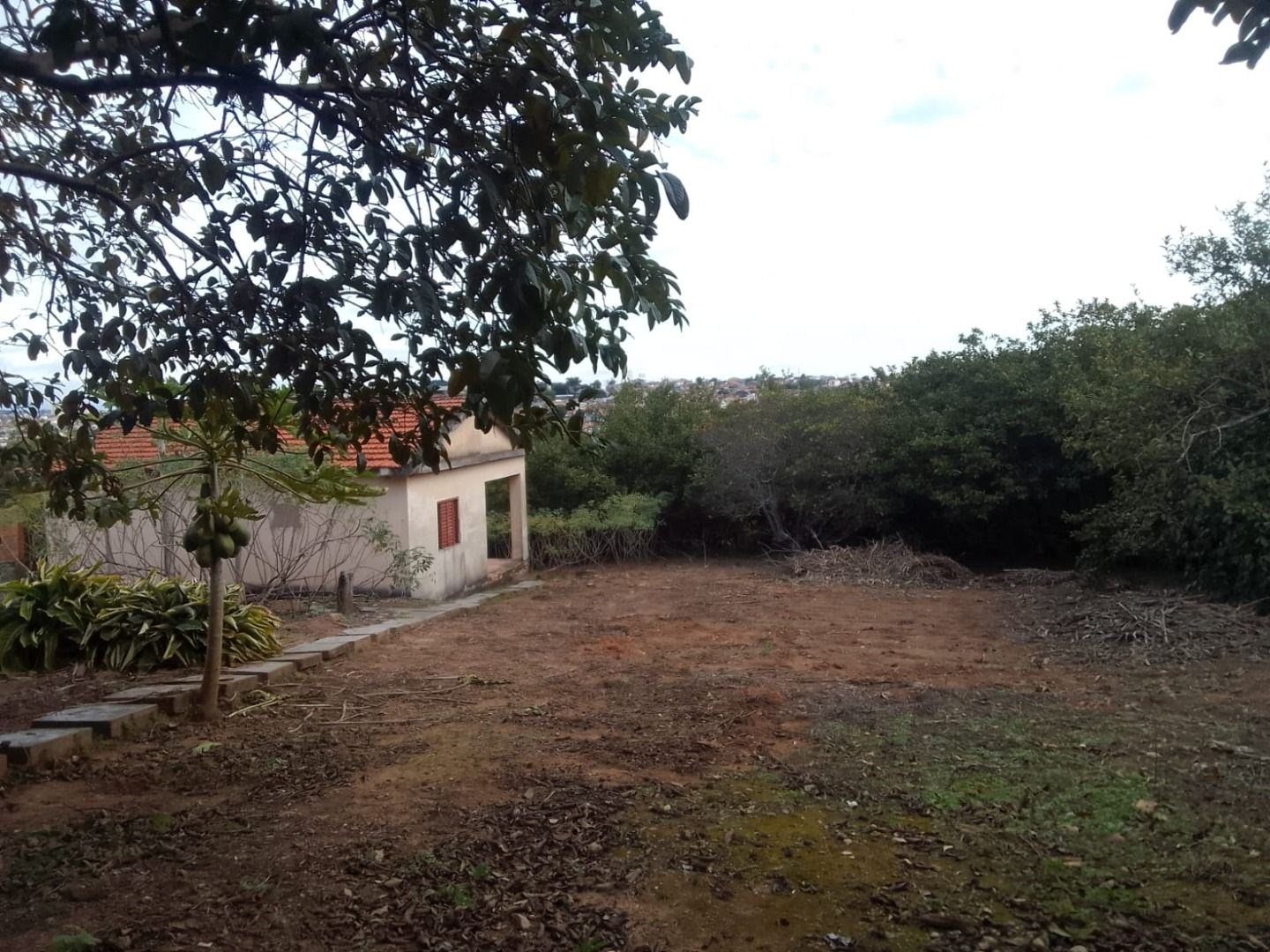 Sítio, 2 quartos, 3 hectares - Foto 5