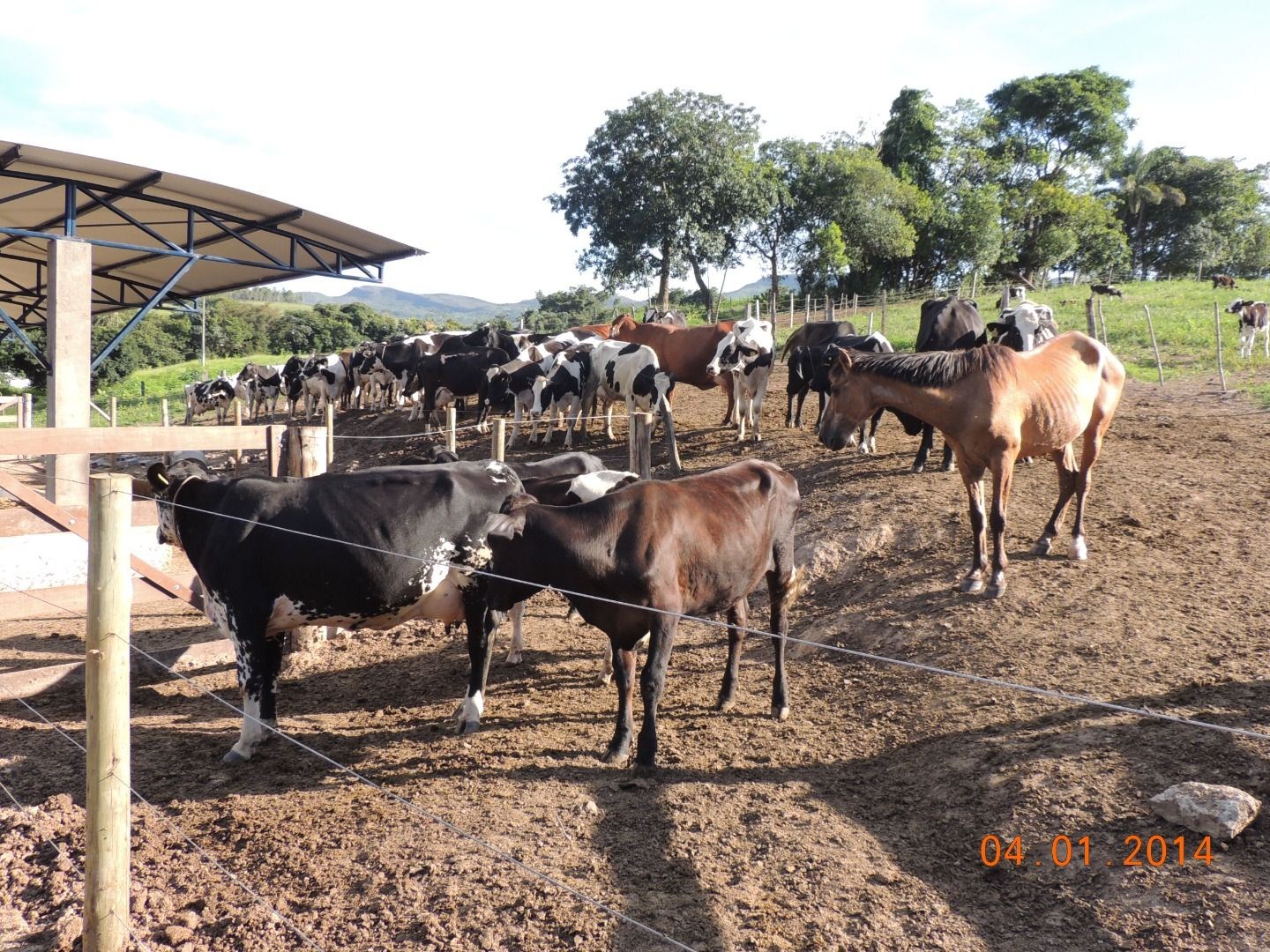 Fazenda, 28 hectares - Foto 47