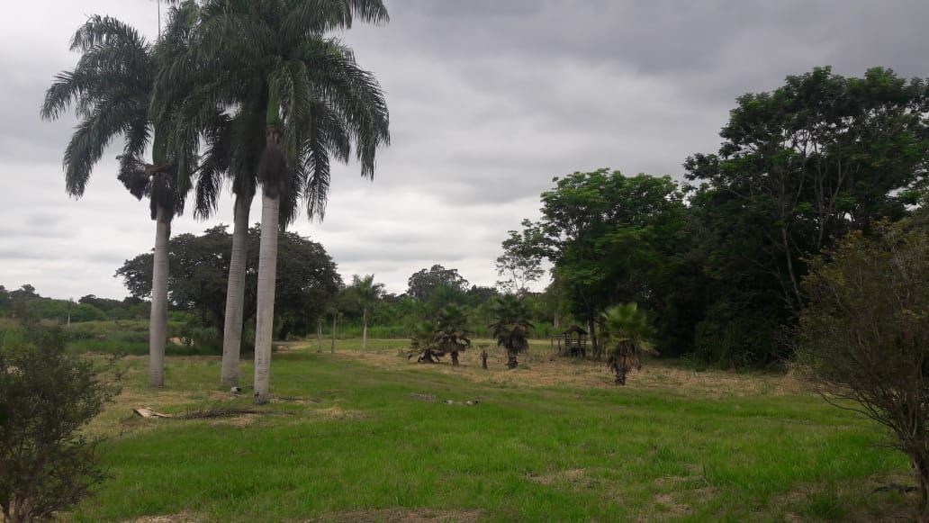 Loteamento e Condomínio, 18 hectares - Foto 5