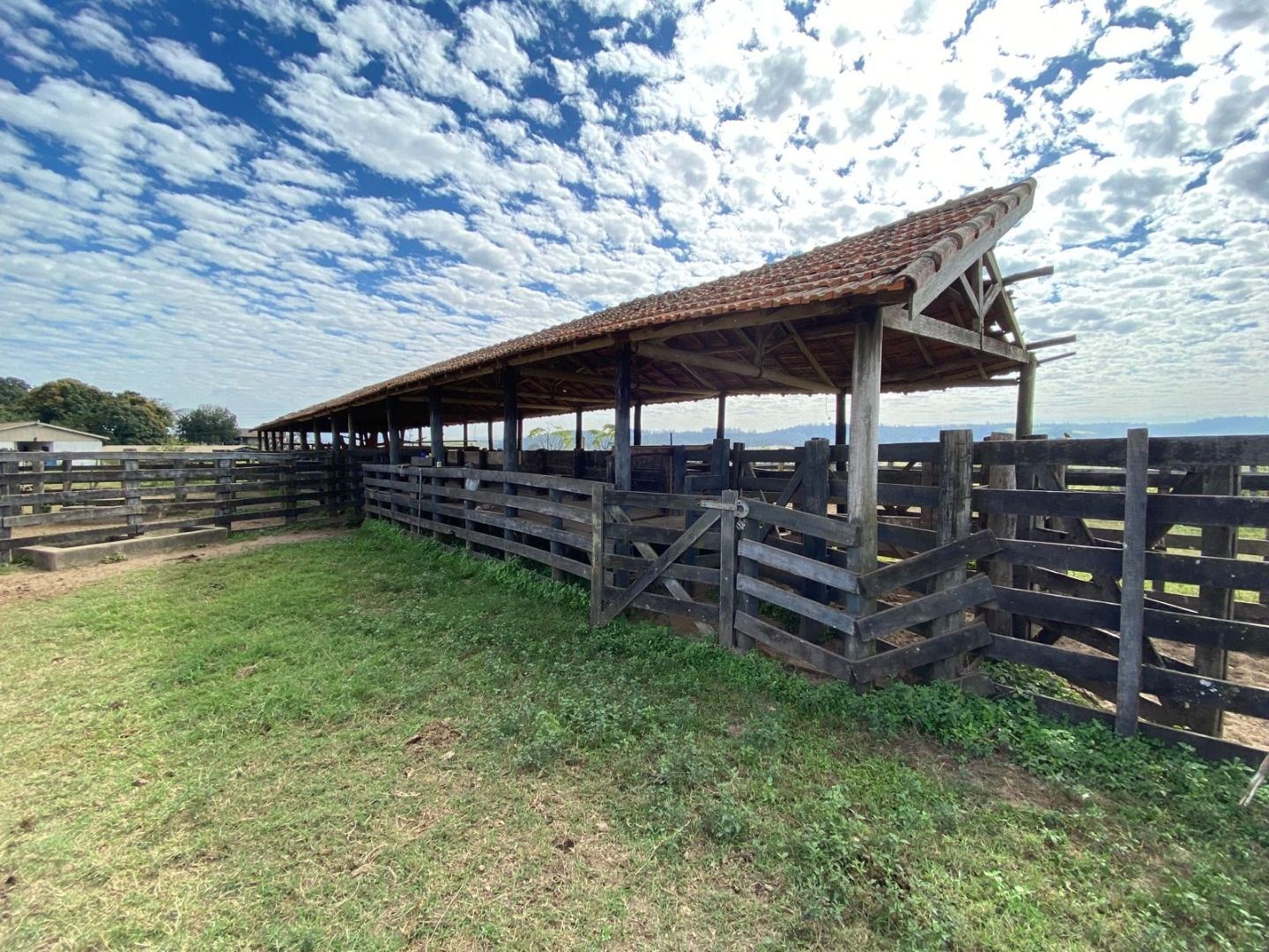 Fazenda, 404 hectares - Foto 20