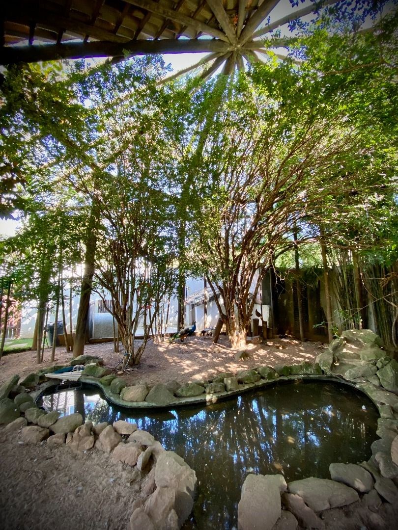 Sítio, 6 quartos, 2000 m² - Foto 47