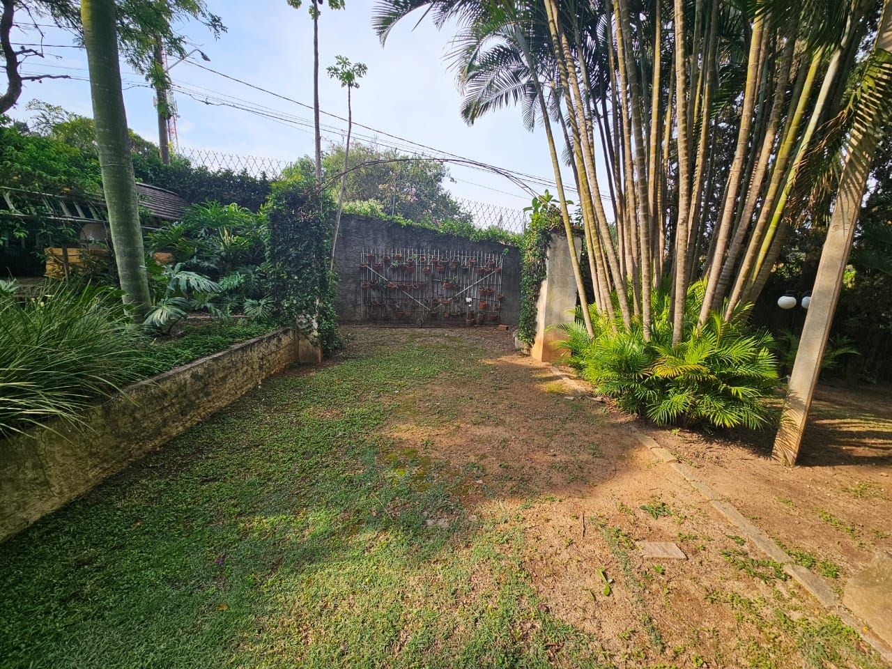 Sítio, 4 quartos, 5000 m² - Foto 9