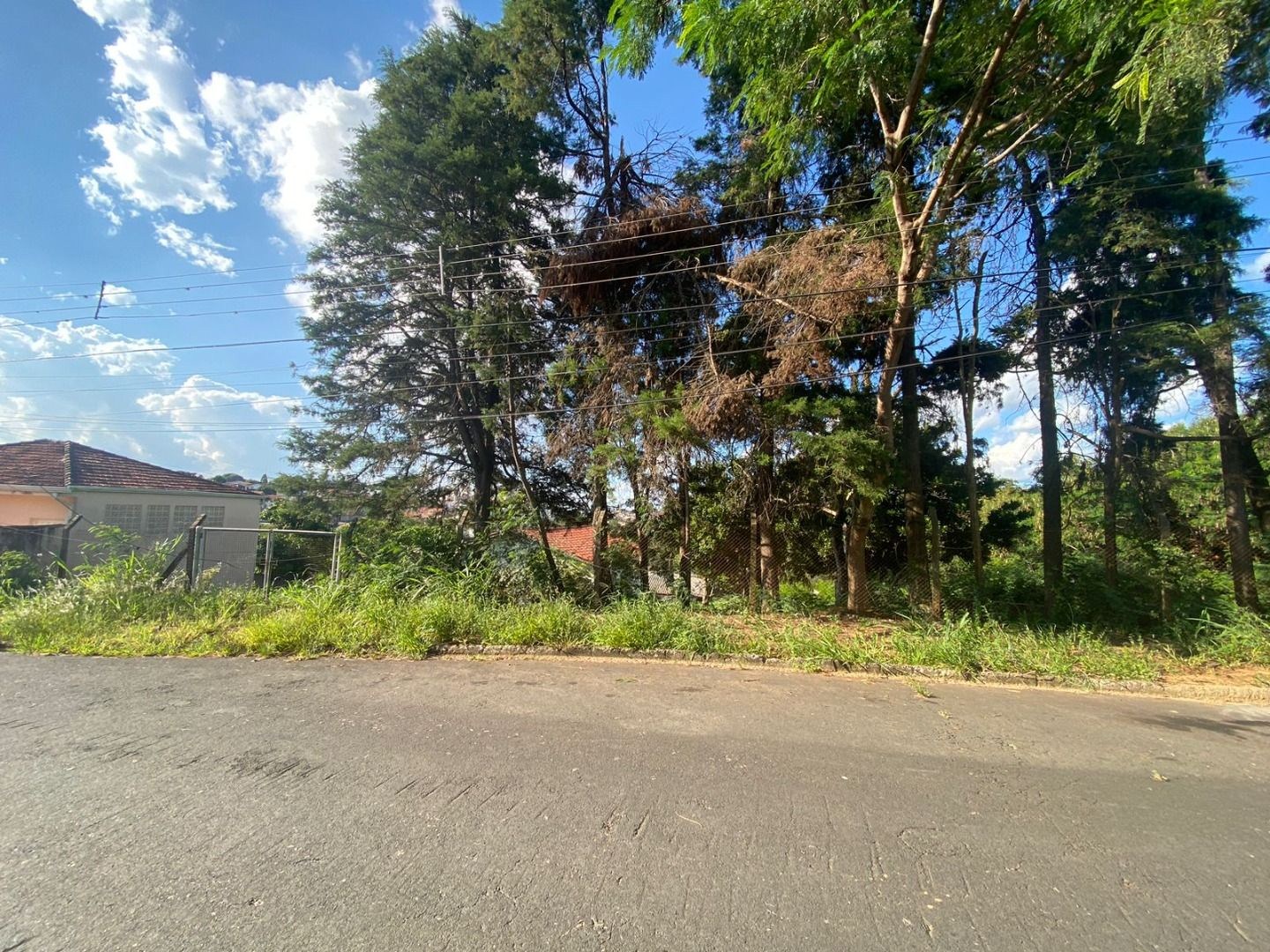 Terreno, 4458 m² - Foto 7