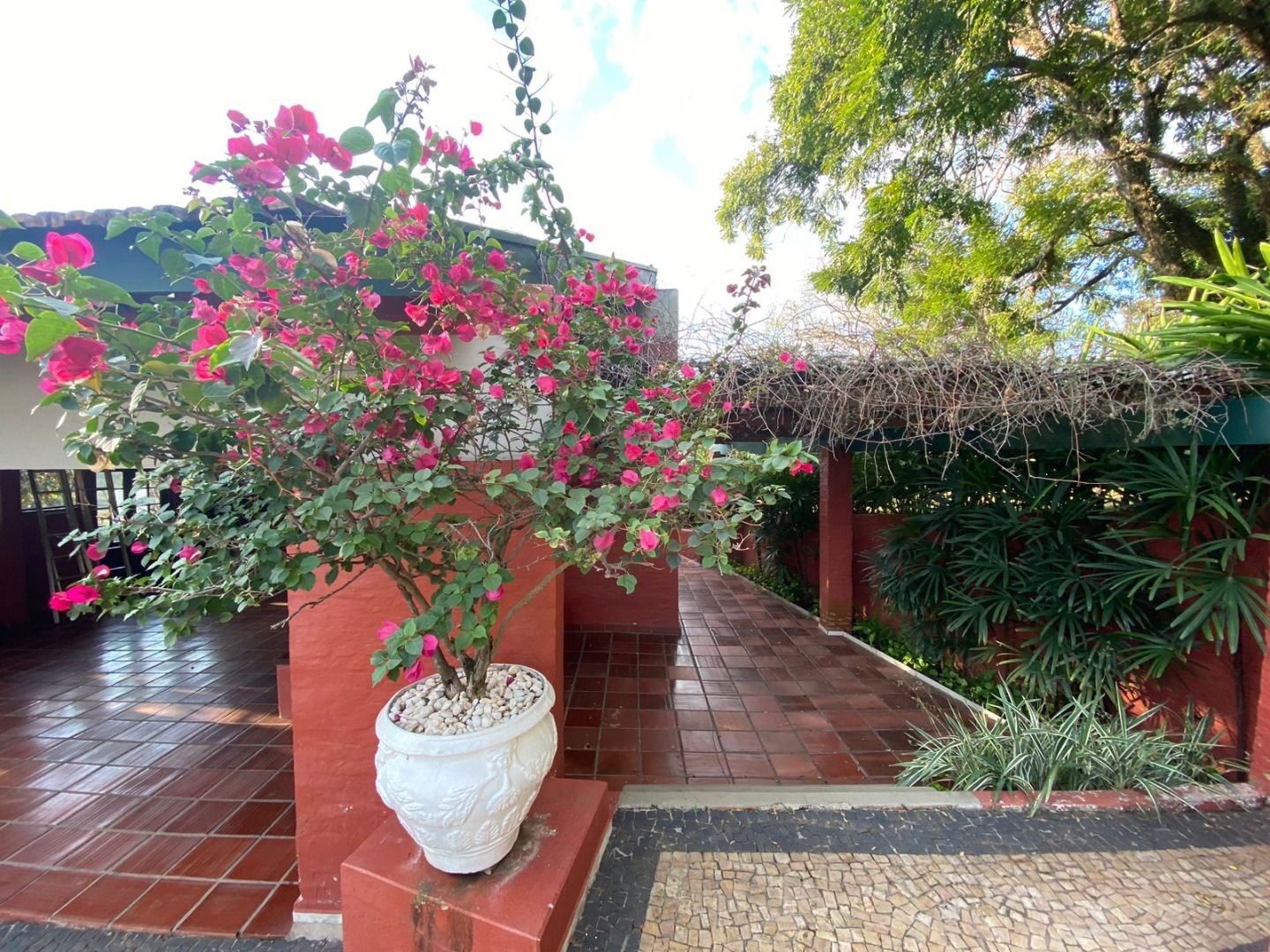 Sítio, 6 quartos, 2 hectares - Foto 47