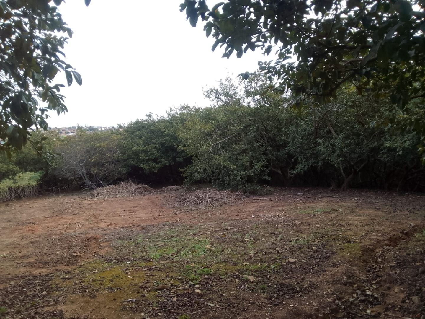 Sítio, 2 quartos, 3 hectares - Foto 4