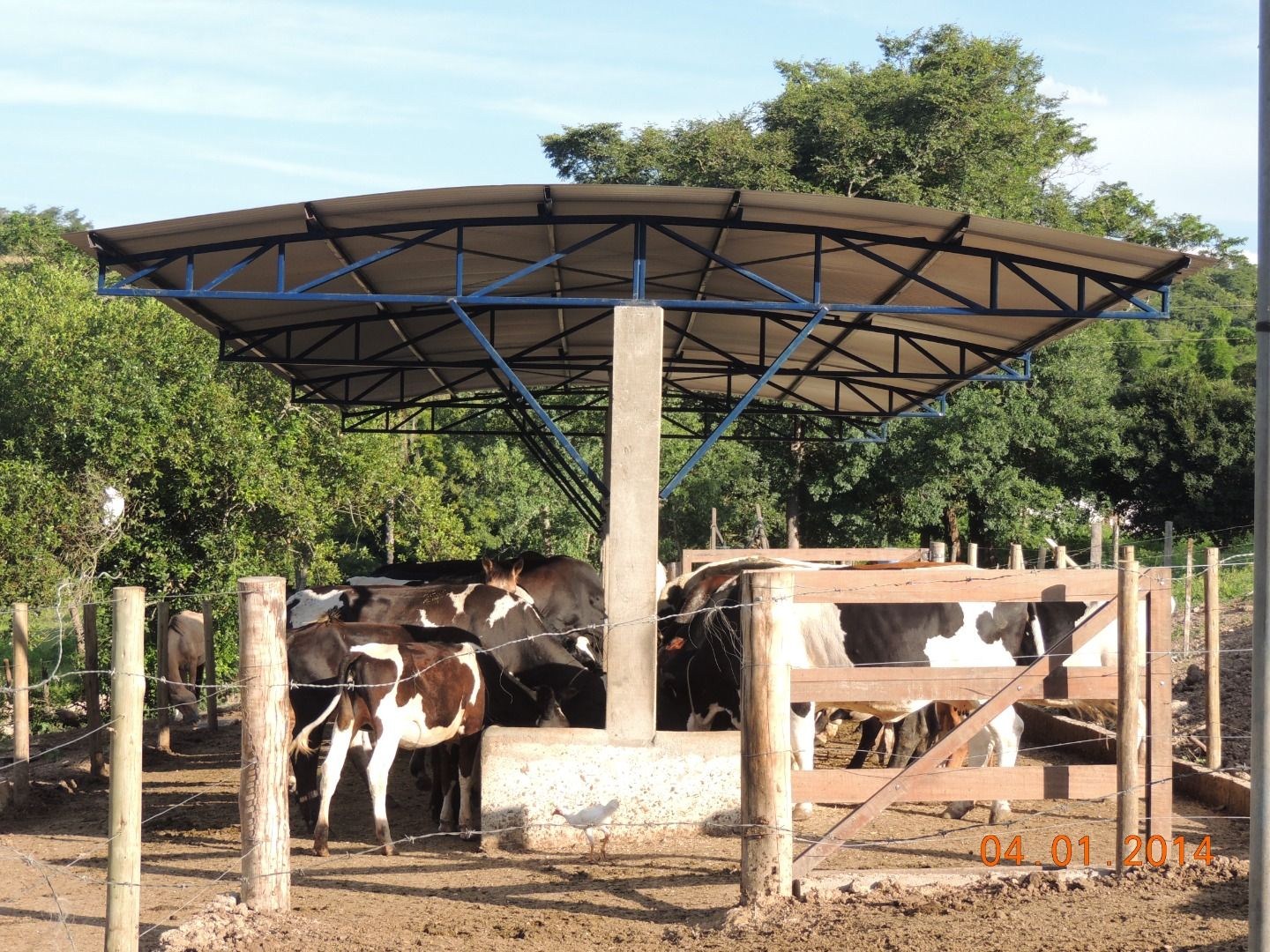 Fazenda, 28 hectares - Foto 48