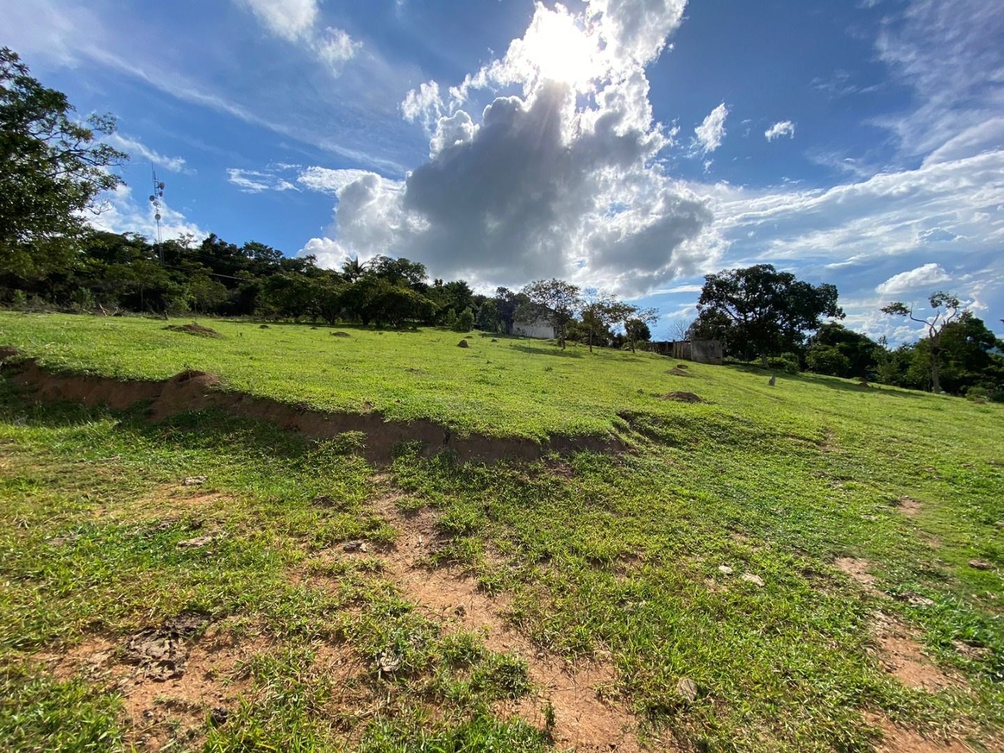 Fazenda, 3 hectares - Foto 1