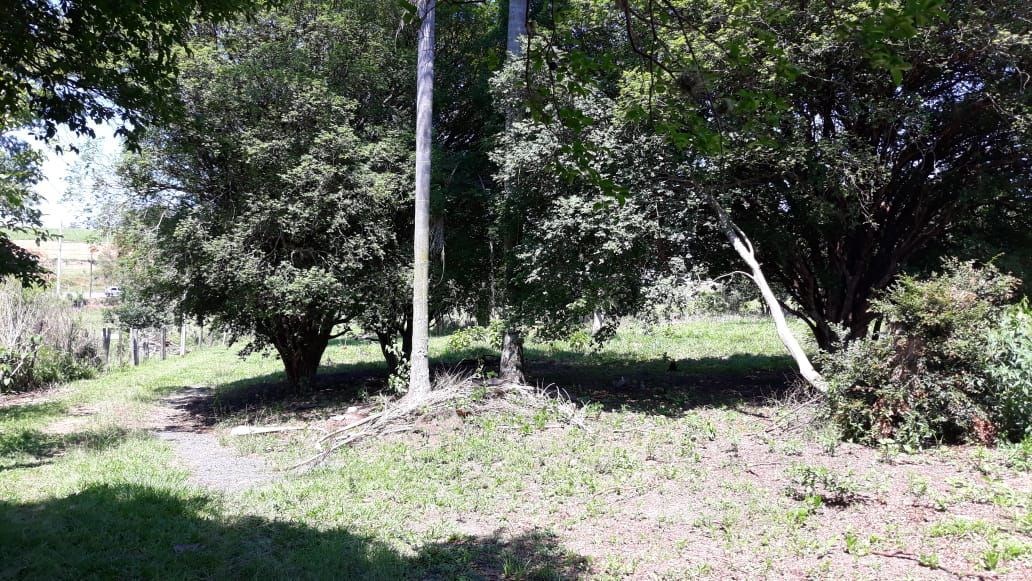 Sítio, 3 quartos, 10 hectares - Foto 6