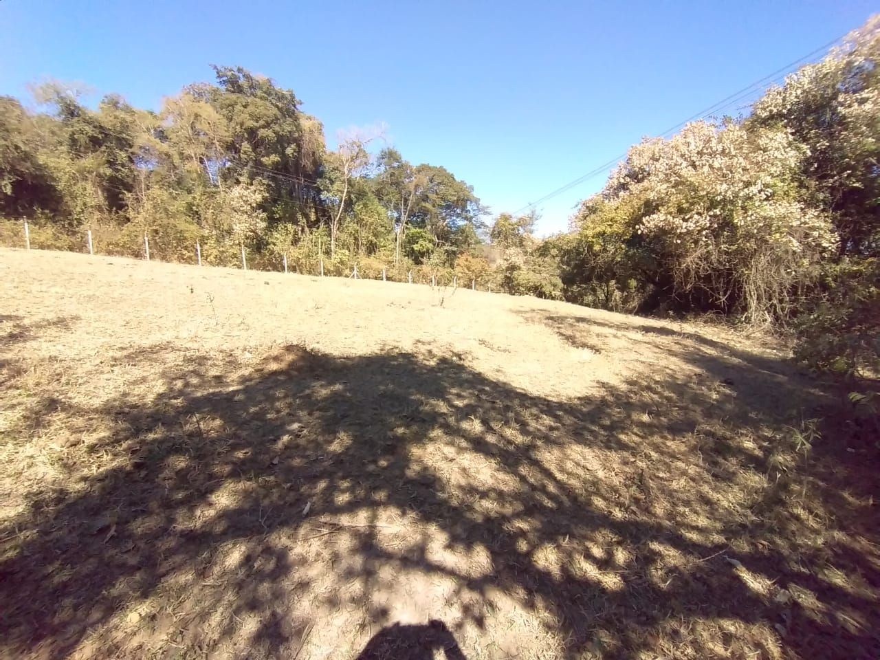 Terreno, 2 hectares - Foto 16