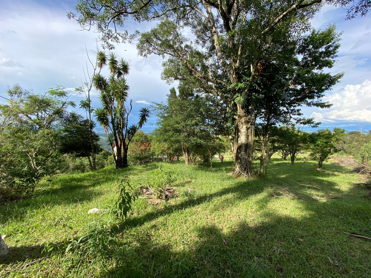 Fazenda, 3 hectares - Foto 7