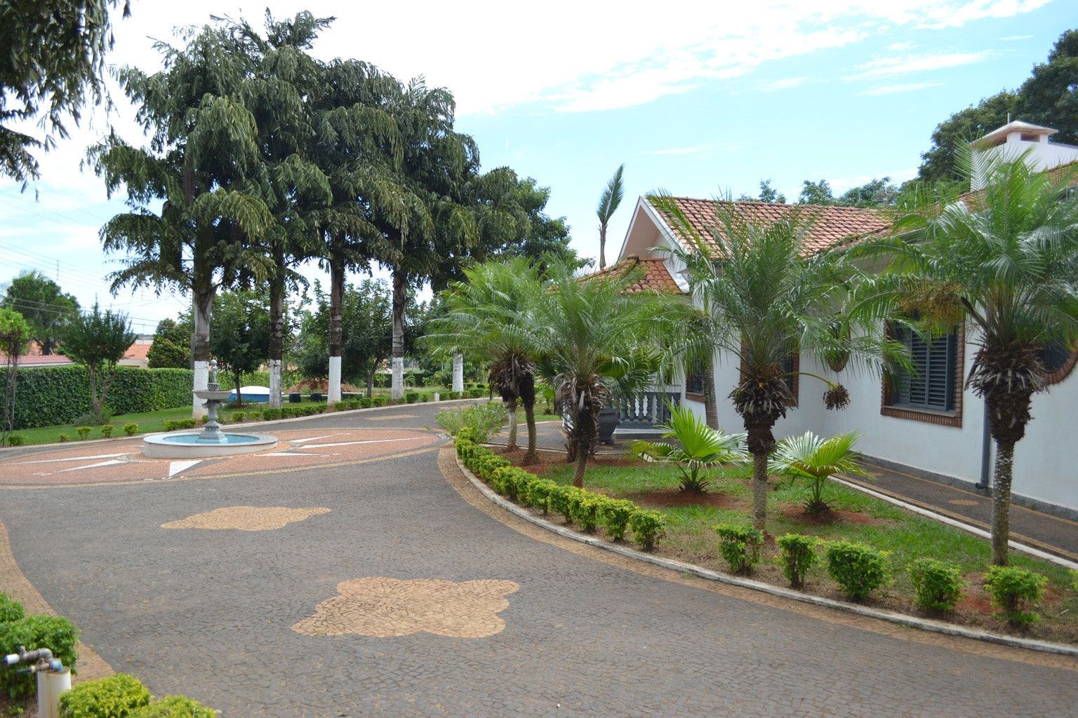 Sítio, 4 quartos, 6000 m² - Foto 2