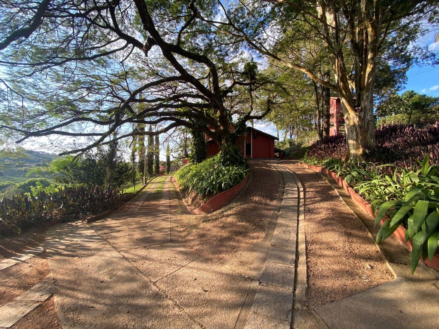 Sítio, 6 quartos, 2 hectares - Foto 30
