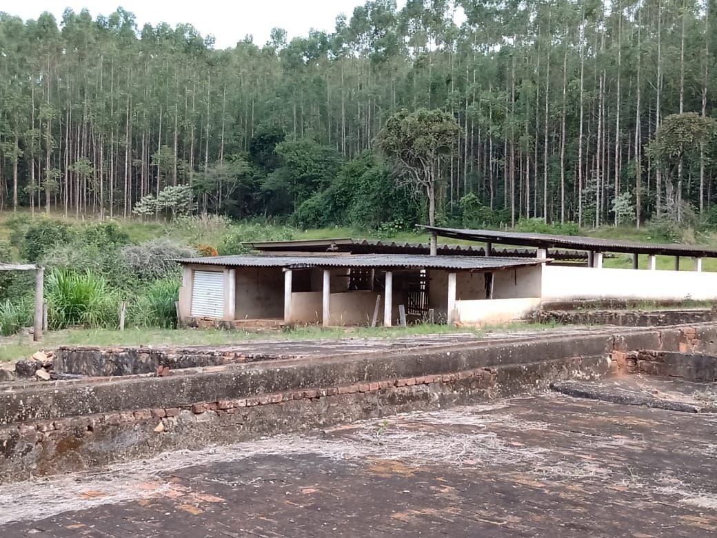 Fazenda, 122 hectares - Foto 4