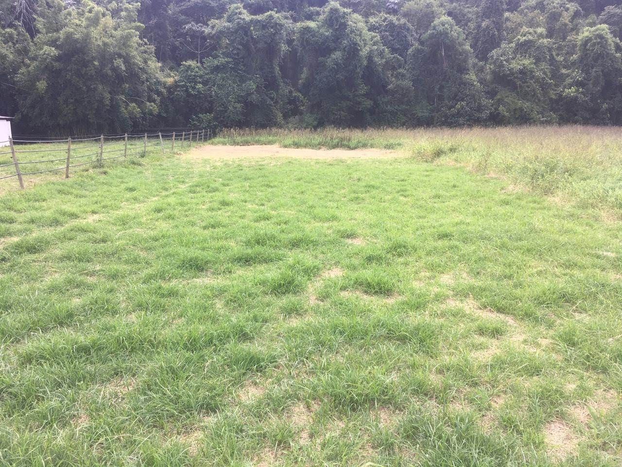 Fazenda, 7 hectares - Foto 22