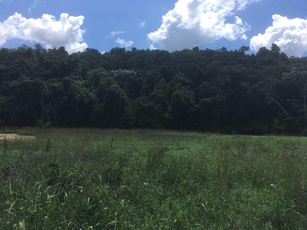 Fazenda, 7 hectares - Foto 23