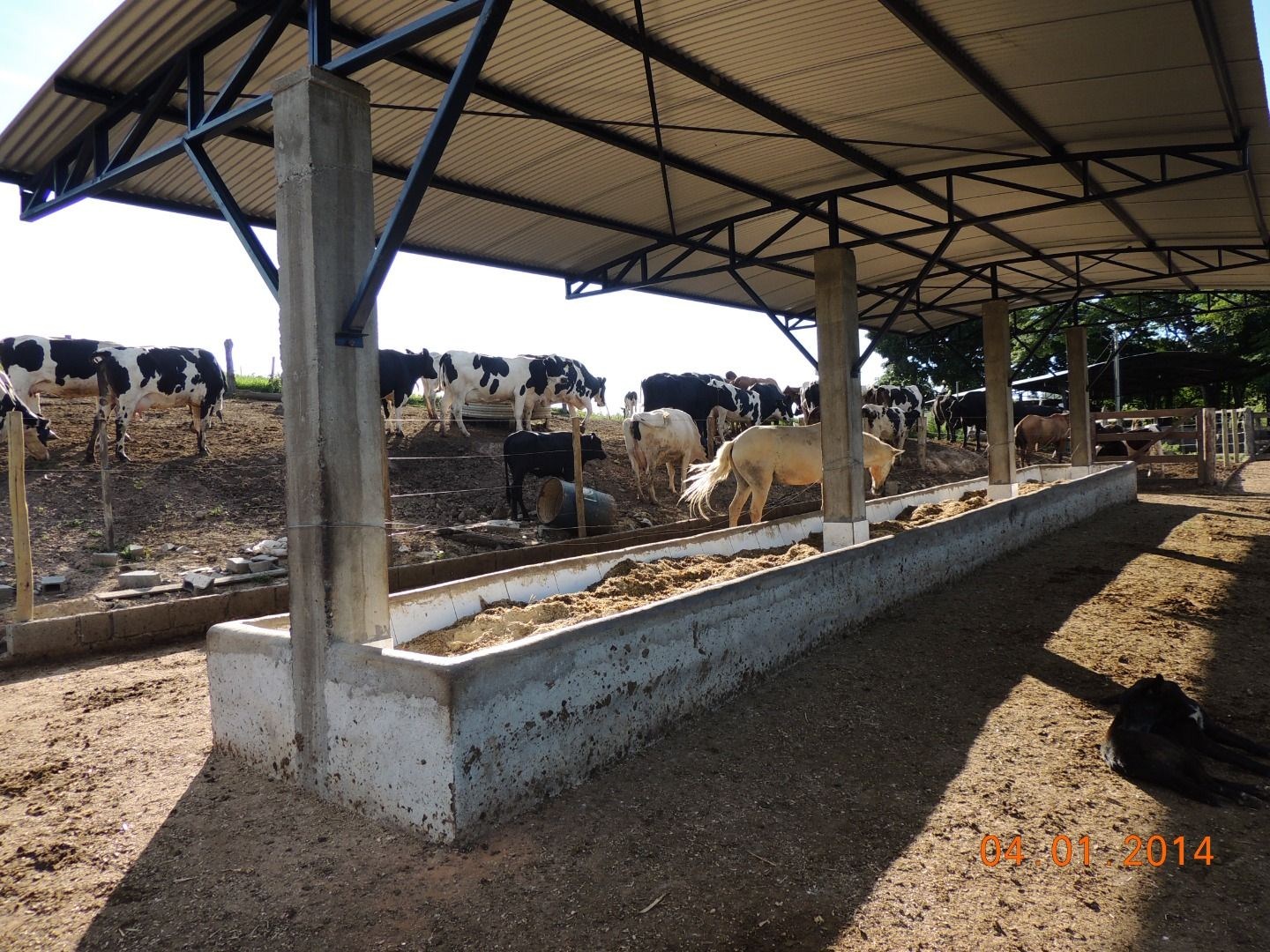 Fazenda, 28 hectares - Foto 44