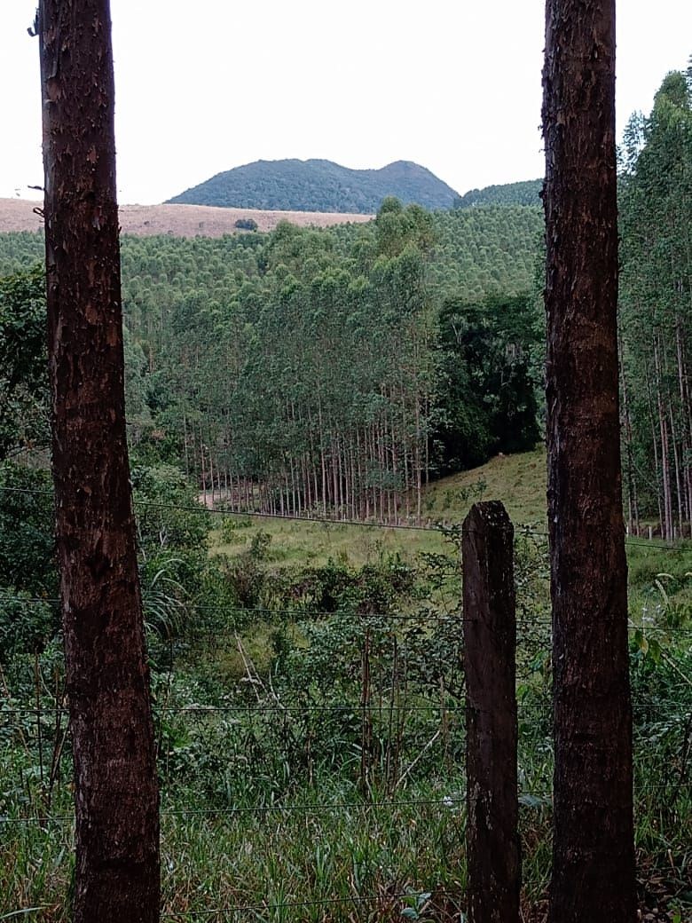 Fazenda, 122 hectares - Foto 14