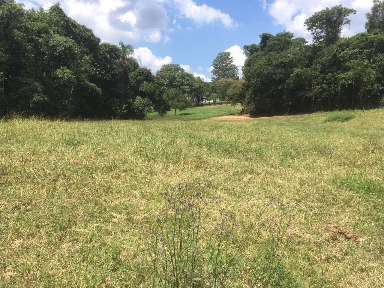 Fazenda, 7 hectares - Foto 38