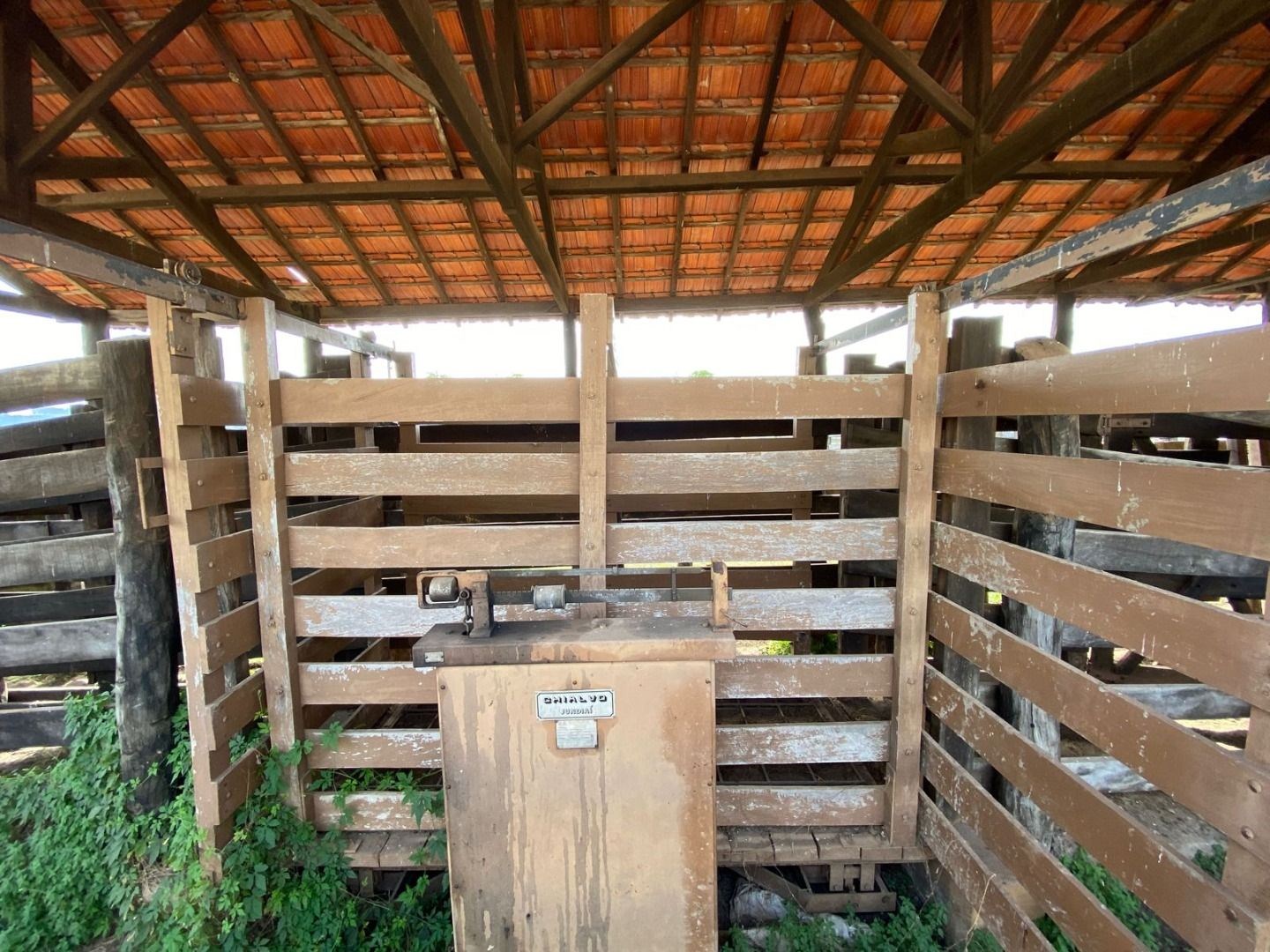 Fazenda, 404 hectares - Foto 21