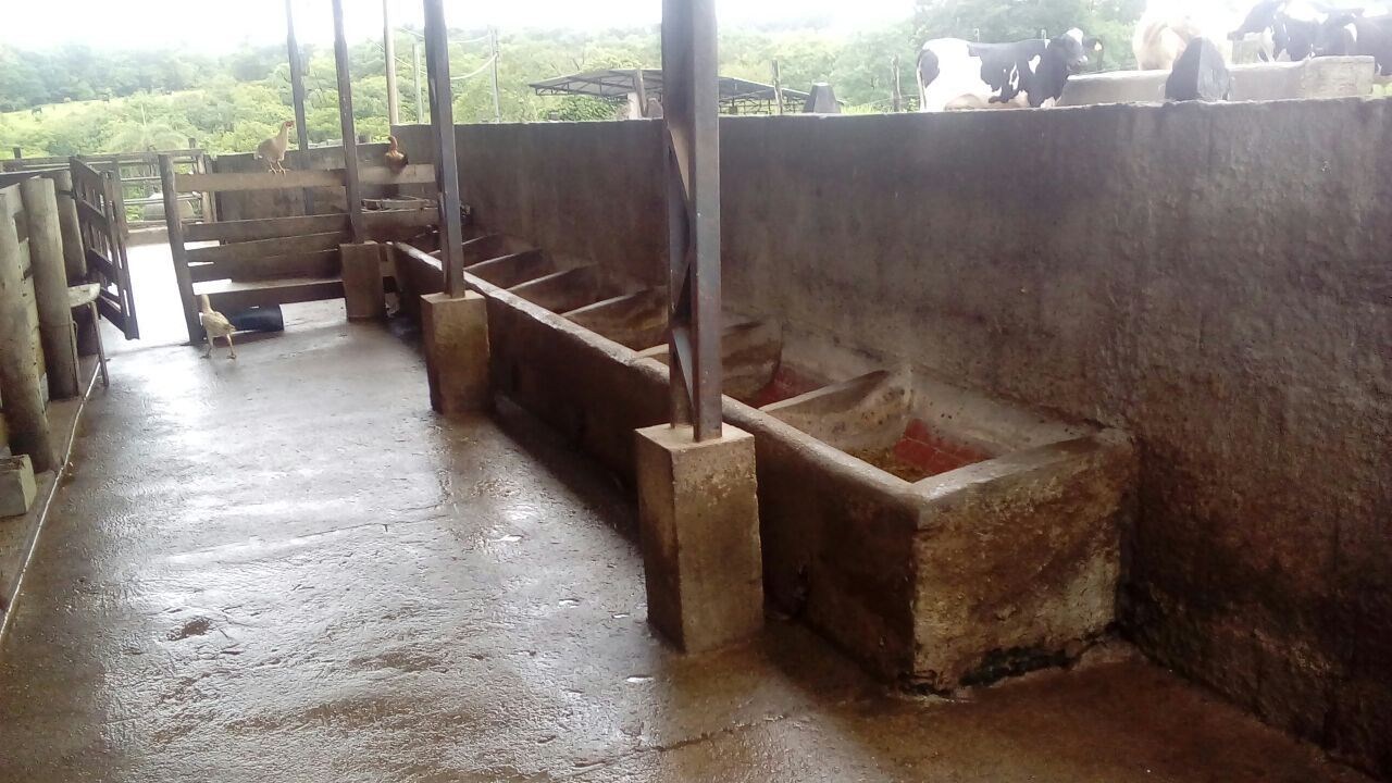 Fazenda, 28 hectares - Foto 83