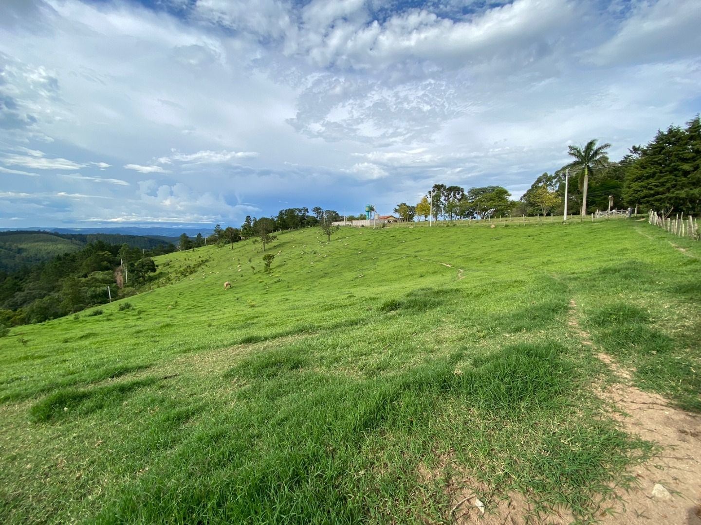 Fazenda, 3 hectares - Foto 1
